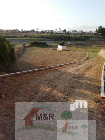 For sale of land in Olivares