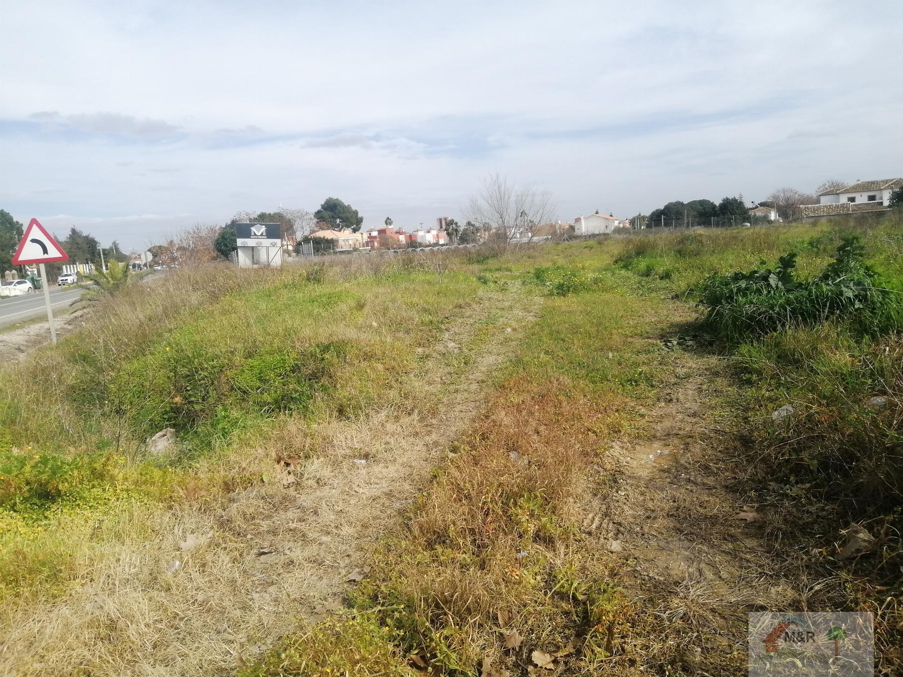 For sale of land in Bollullos de la Mitación