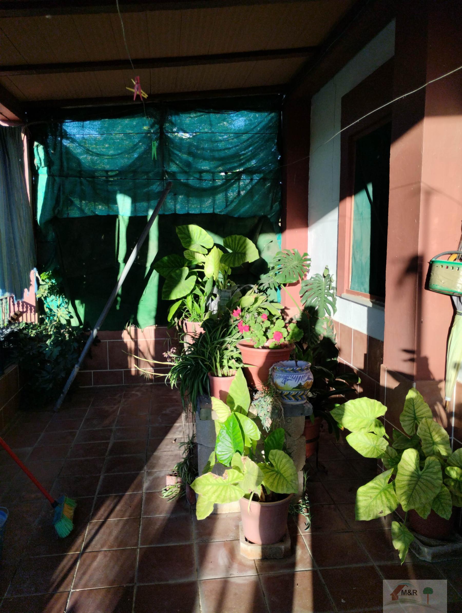 Venta de finca rústica en Pilas