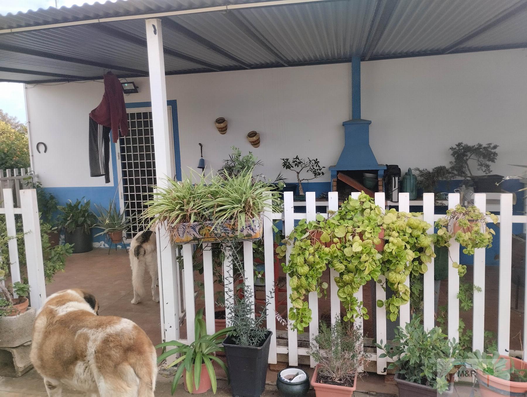 For sale of recreation property in Bollullos de la Mitación