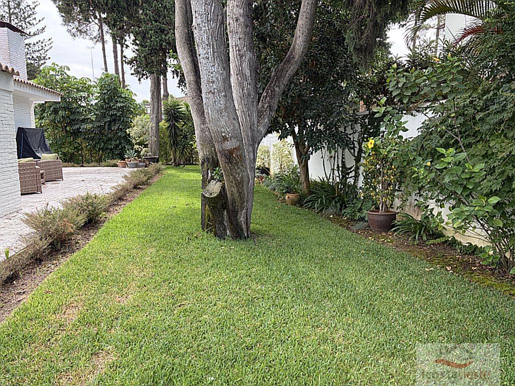 Jardín