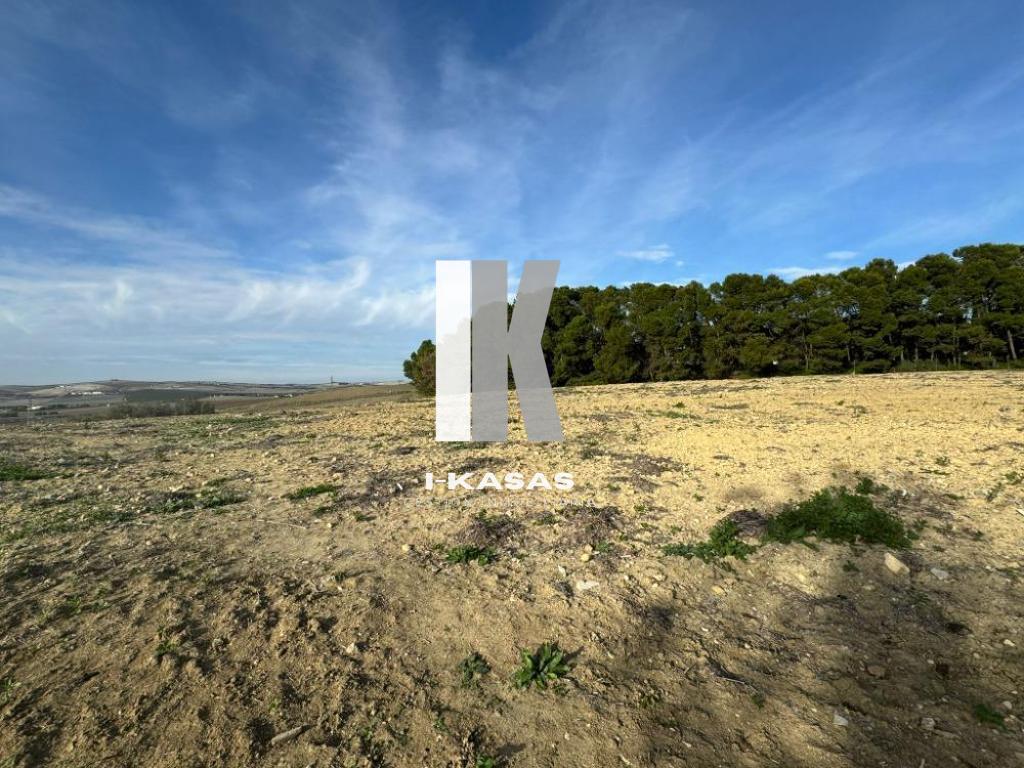 Venta de terreno en Jerez de la Frontera