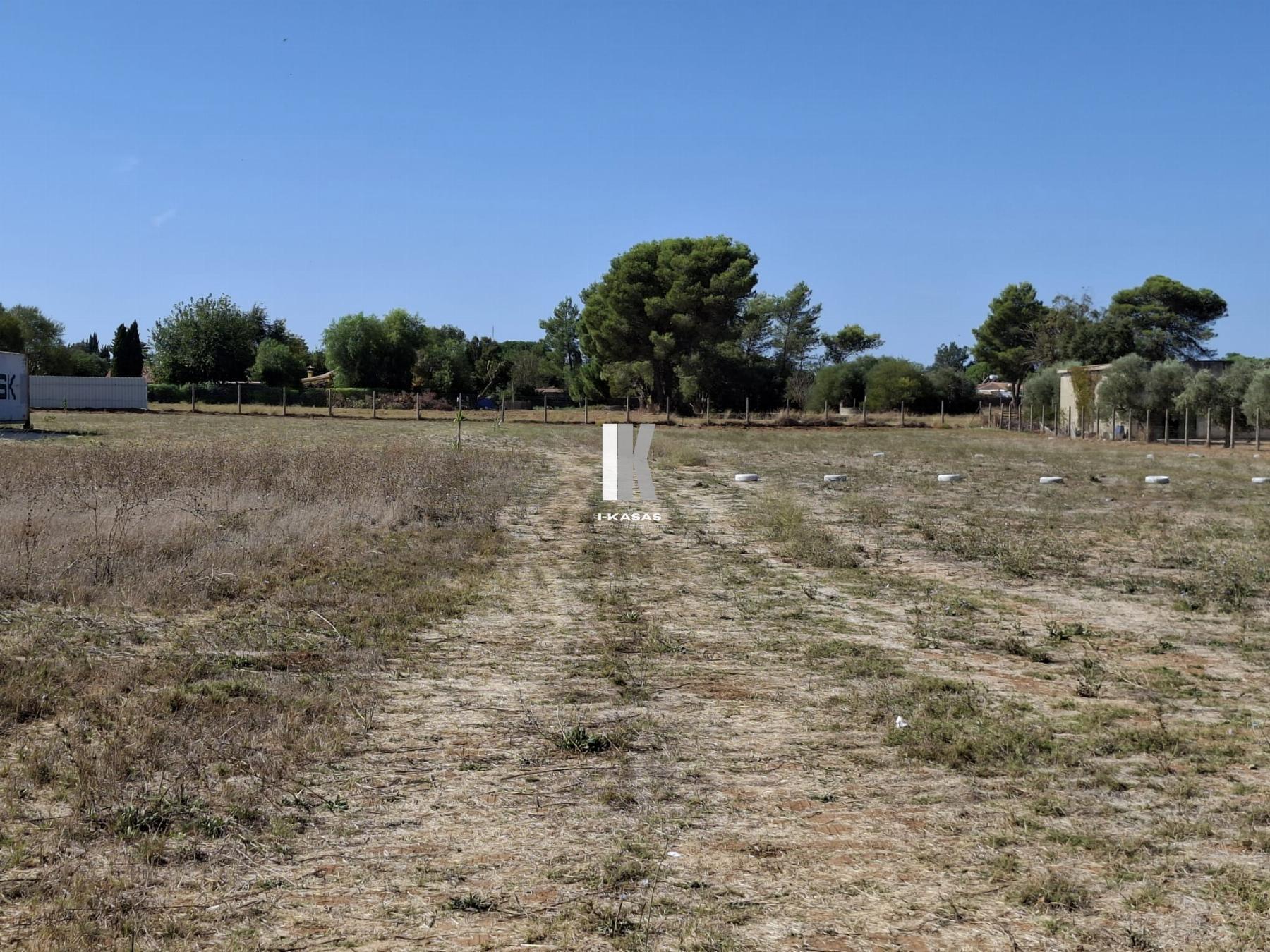 Venta de finca rústica en Jerez de la Frontera