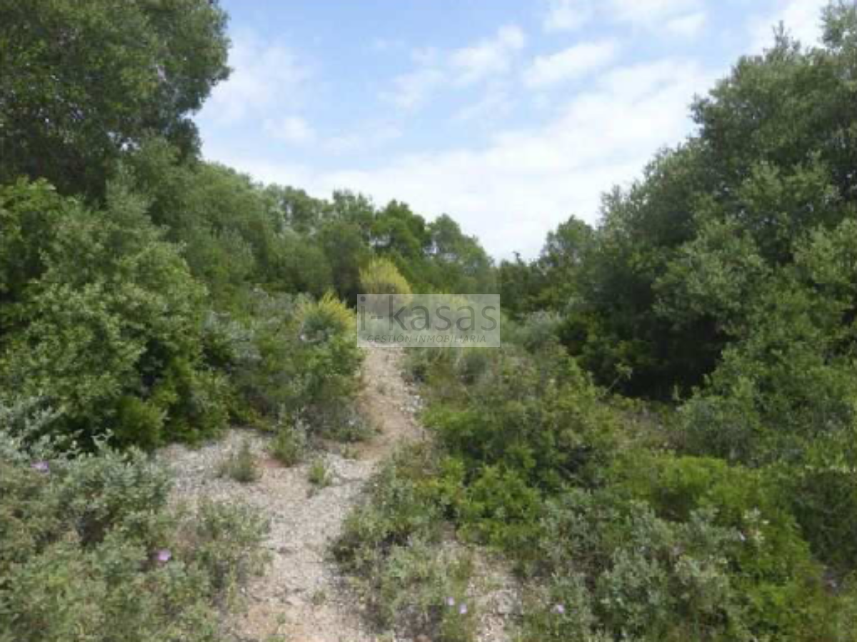 For sale of land in Jerez de la Frontera