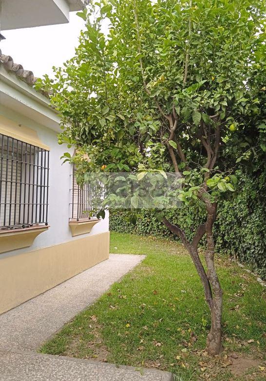 Venta de chalet en Jerez de la Frontera