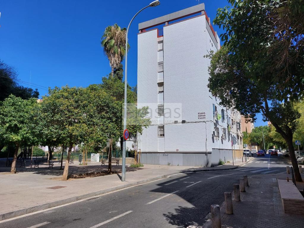 For rent of flat in Sevilla
