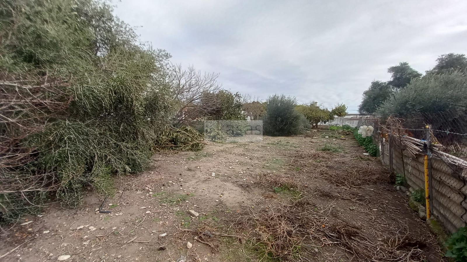 Venta de terreno en Jerez de la Frontera