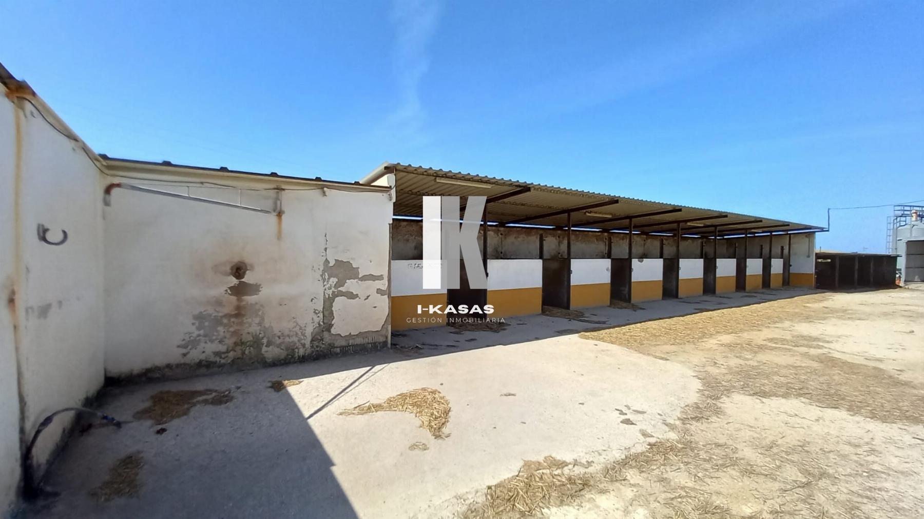 Venta de finca rústica en Jerez de la Frontera