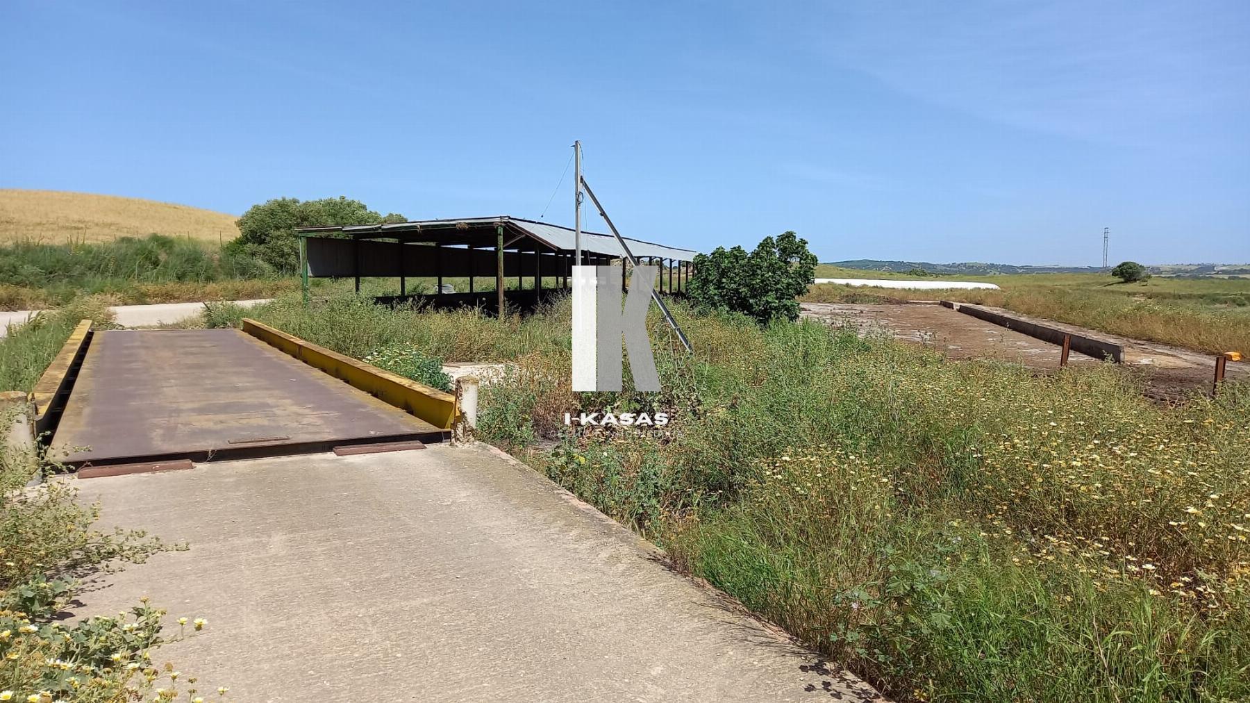 Venta de finca rústica en Jerez de la Frontera