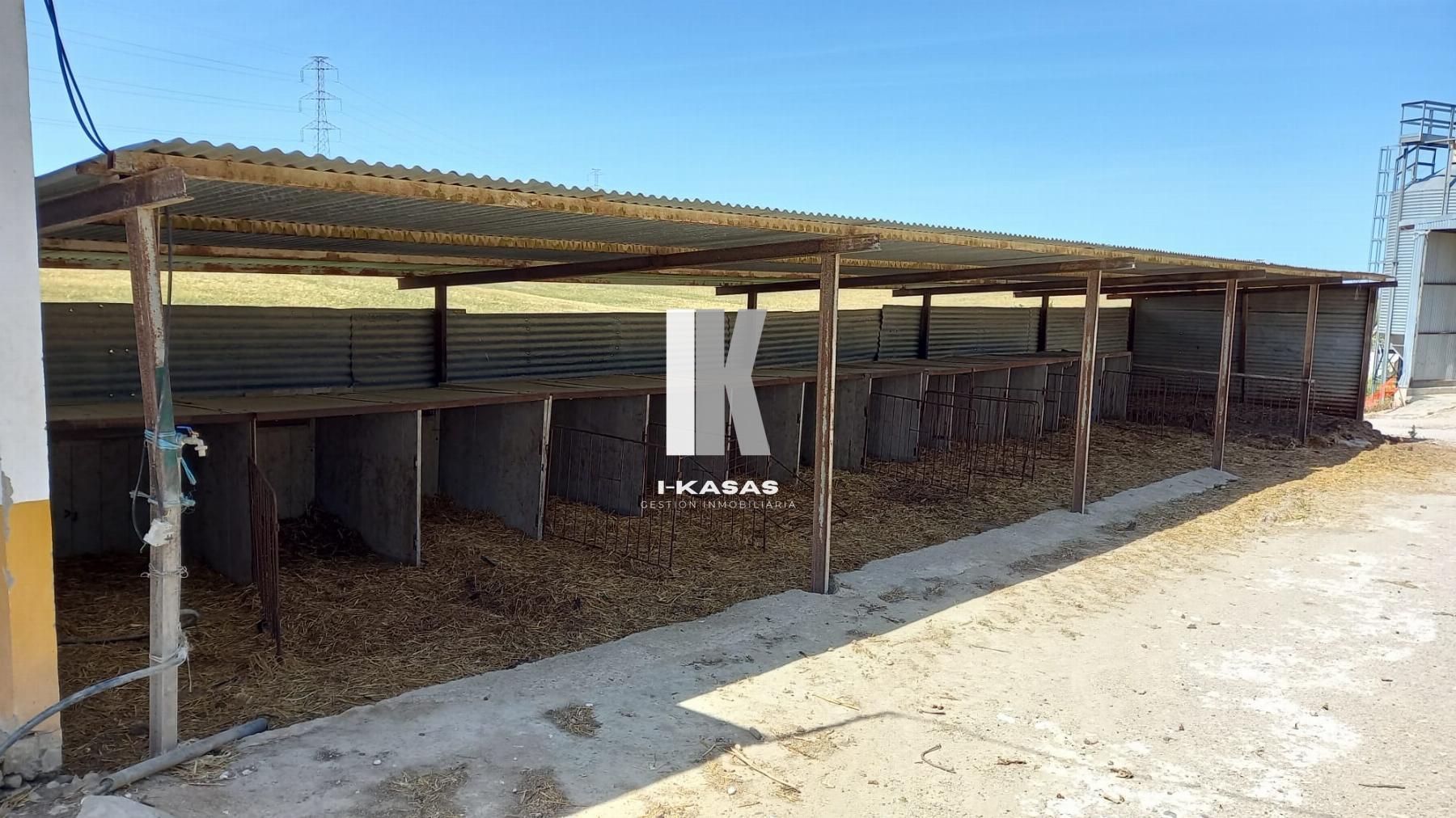 Venta de finca rústica en Jerez de la Frontera