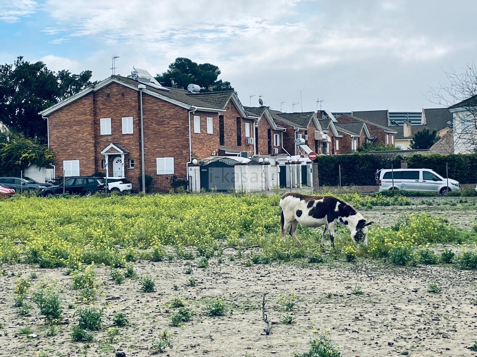 Venta de casa en Jerez de la Frontera