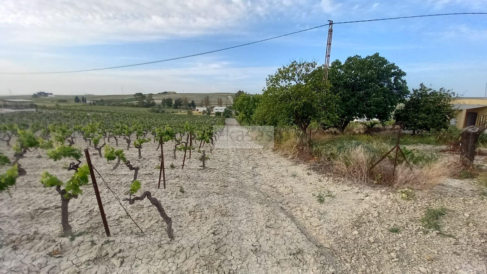 For sale of land in Jerez de la Frontera