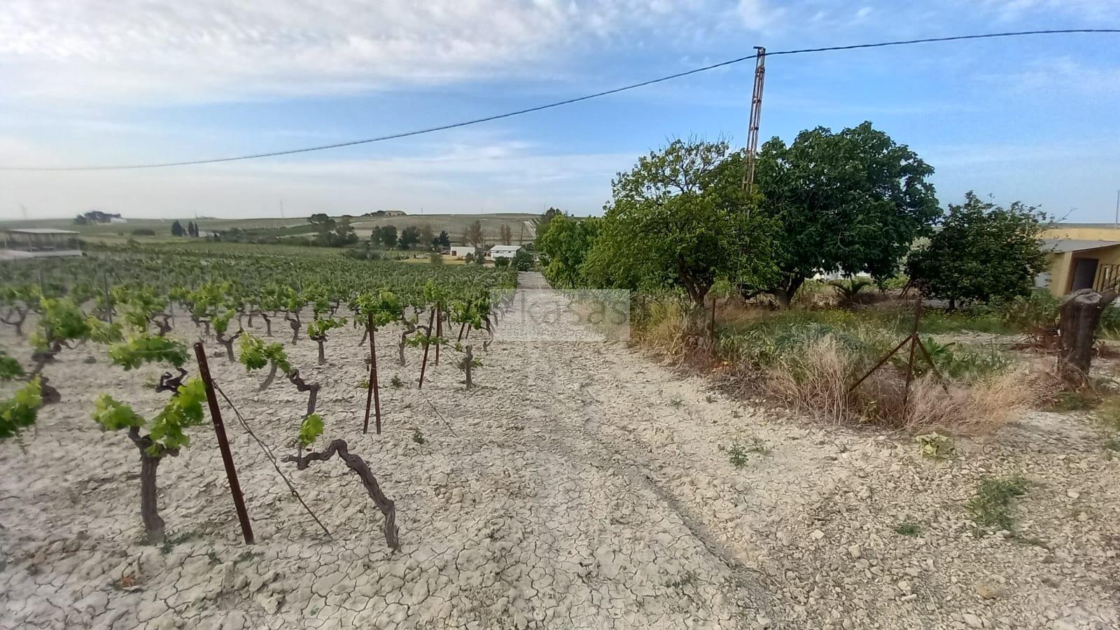 Venta de terreno en Jerez de la Frontera