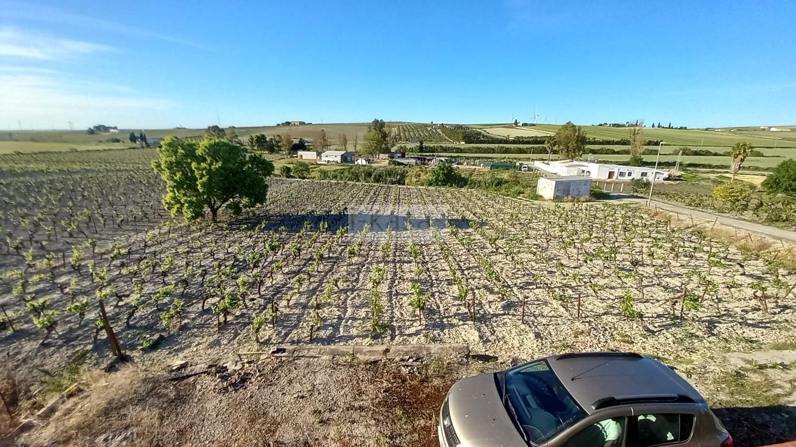 Venta de terreno en Jerez de la Frontera