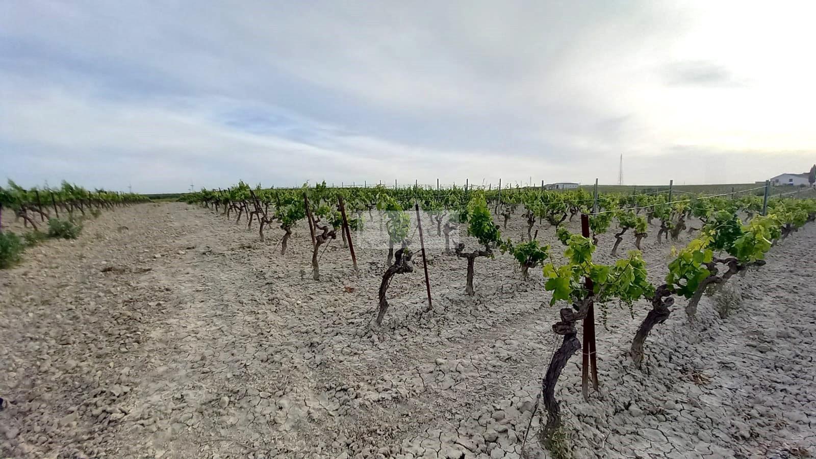 Venta de terreno en Jerez de la Frontera