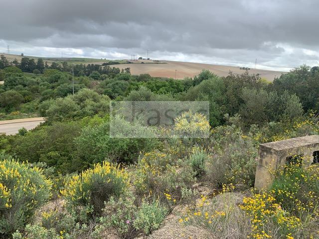 Venta de terreno en Jerez de la Frontera