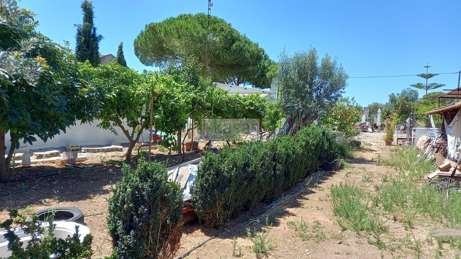 For sale of land in Jerez de la Frontera