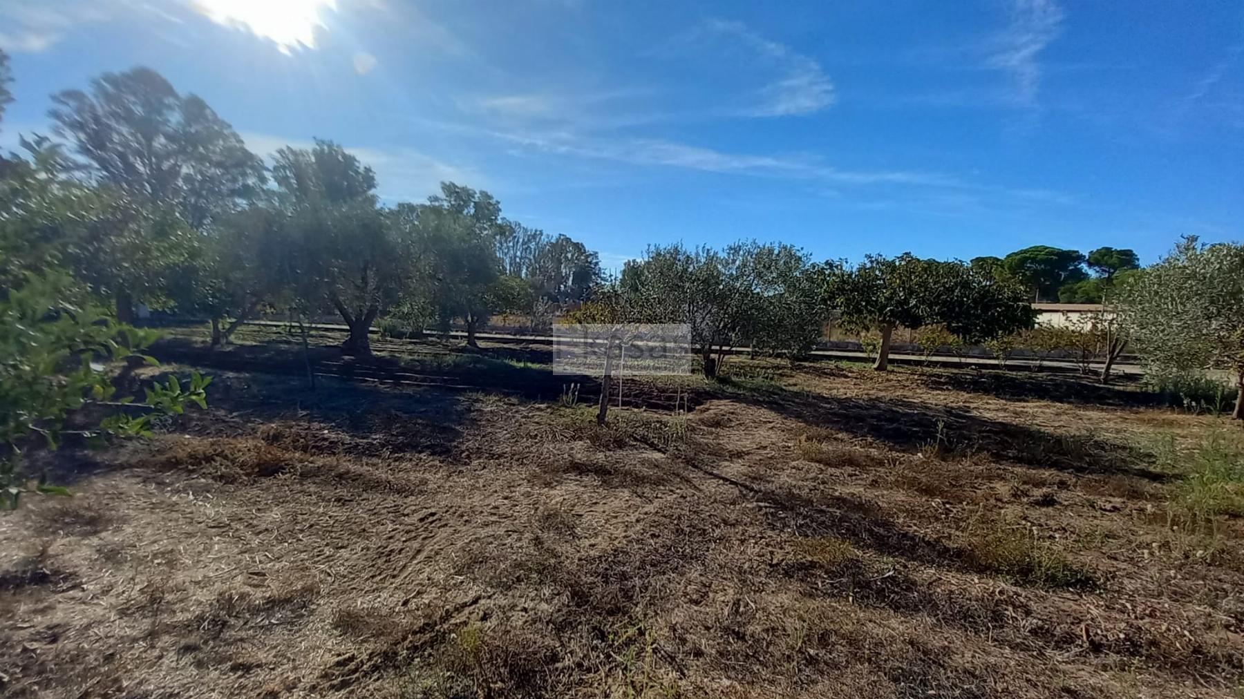For sale of land in Jerez de la Frontera