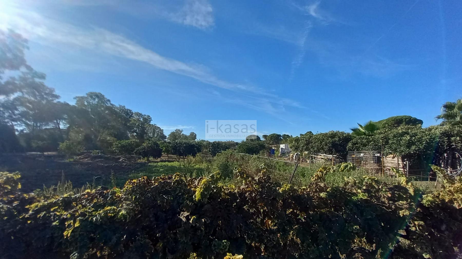 For sale of land in Jerez de la Frontera