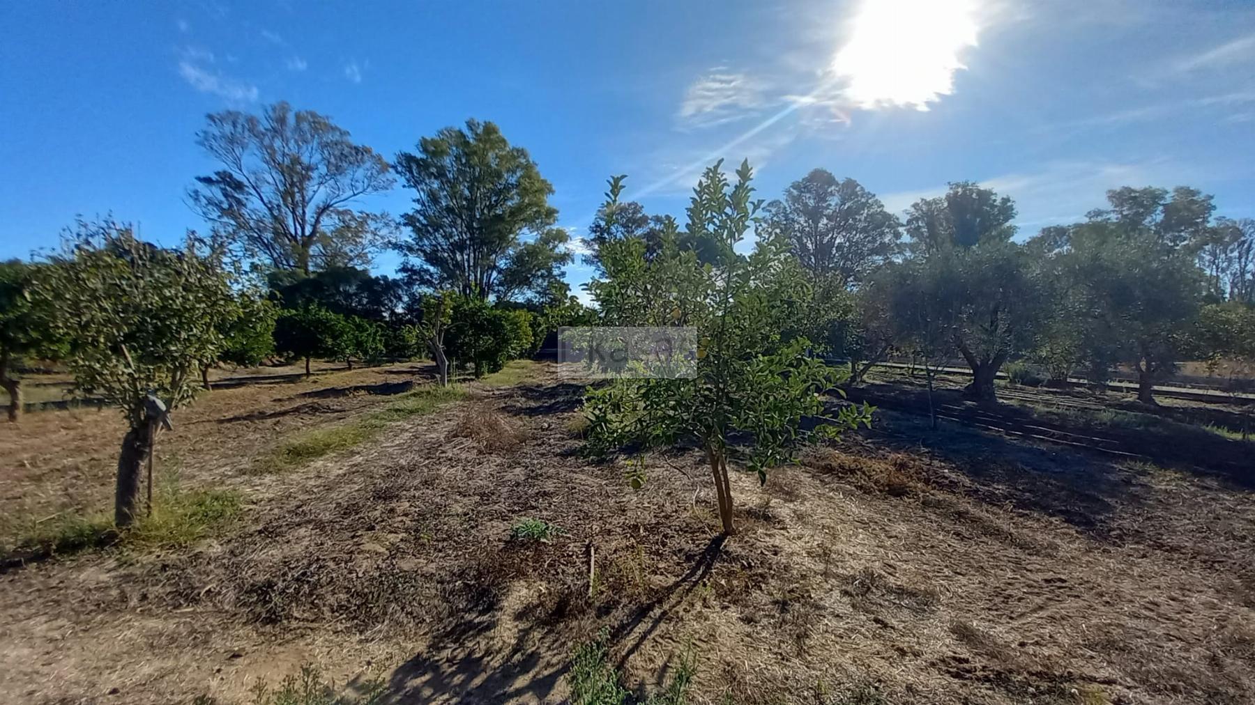 For sale of land in Jerez de la Frontera