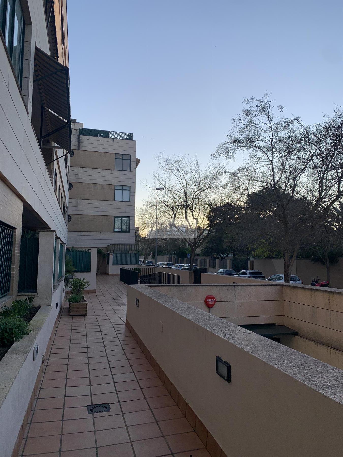 For rent of flat in Jerez de la Frontera