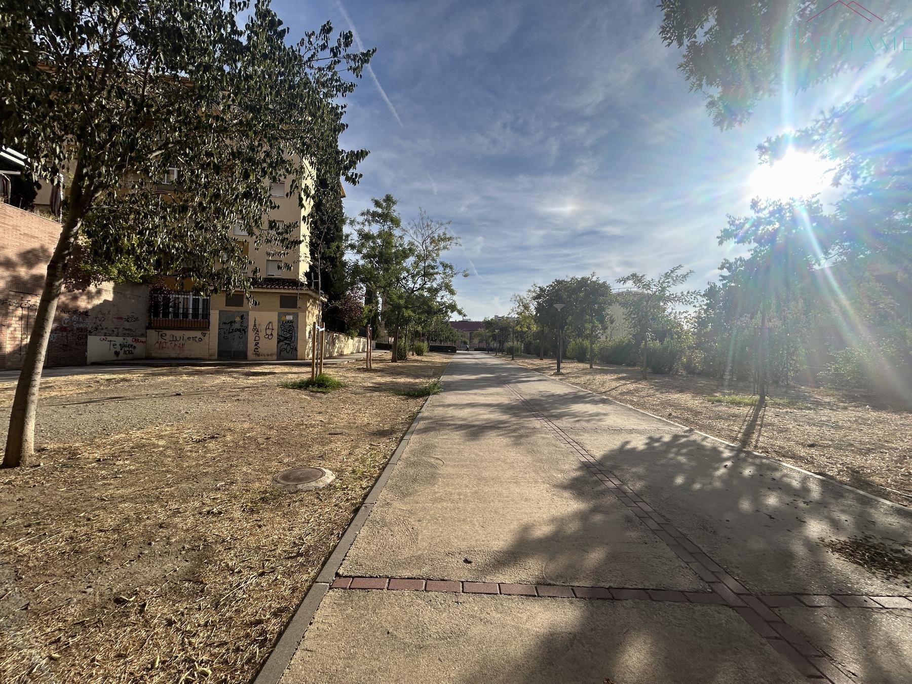 Surroundings