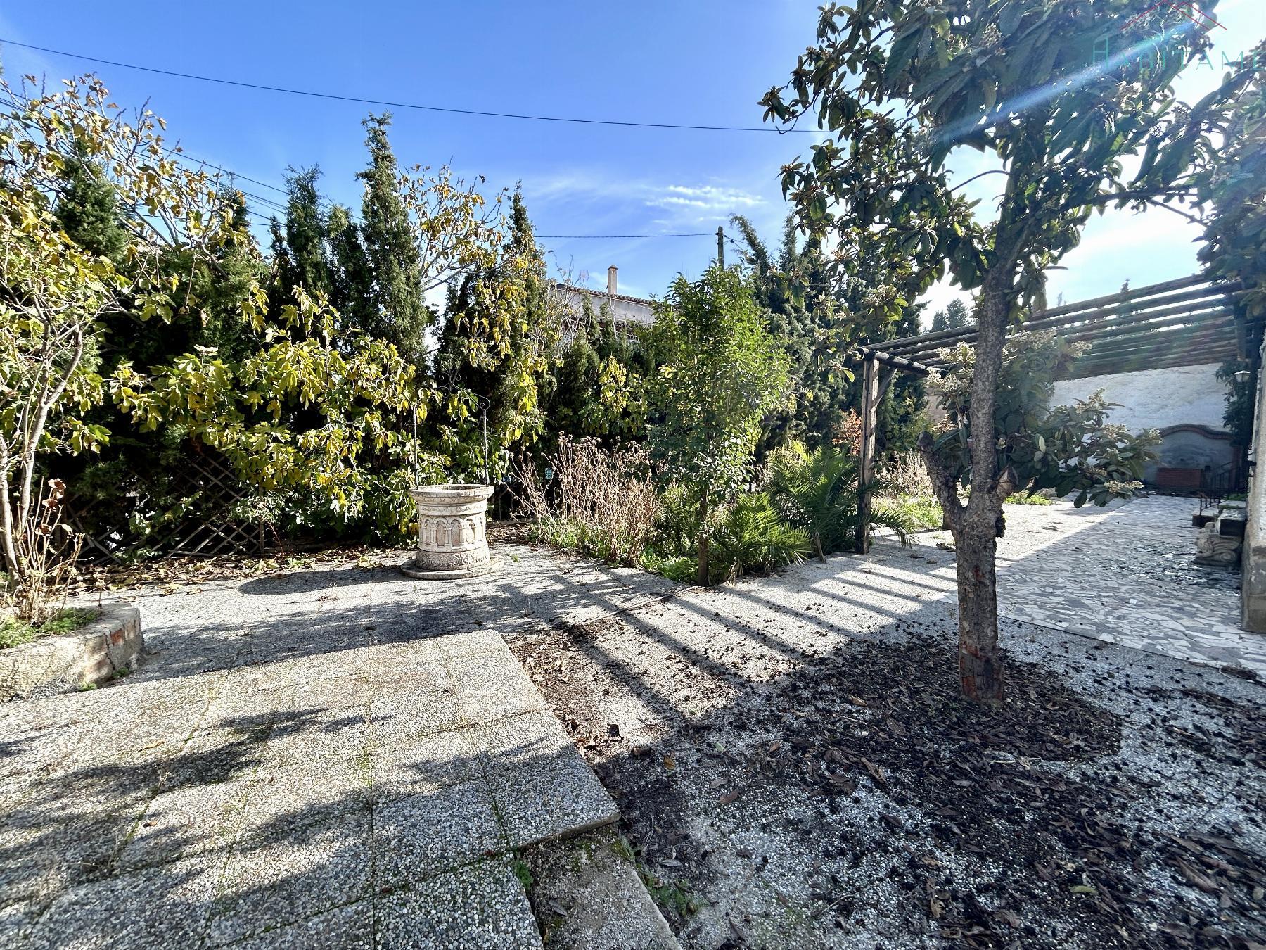 Ground