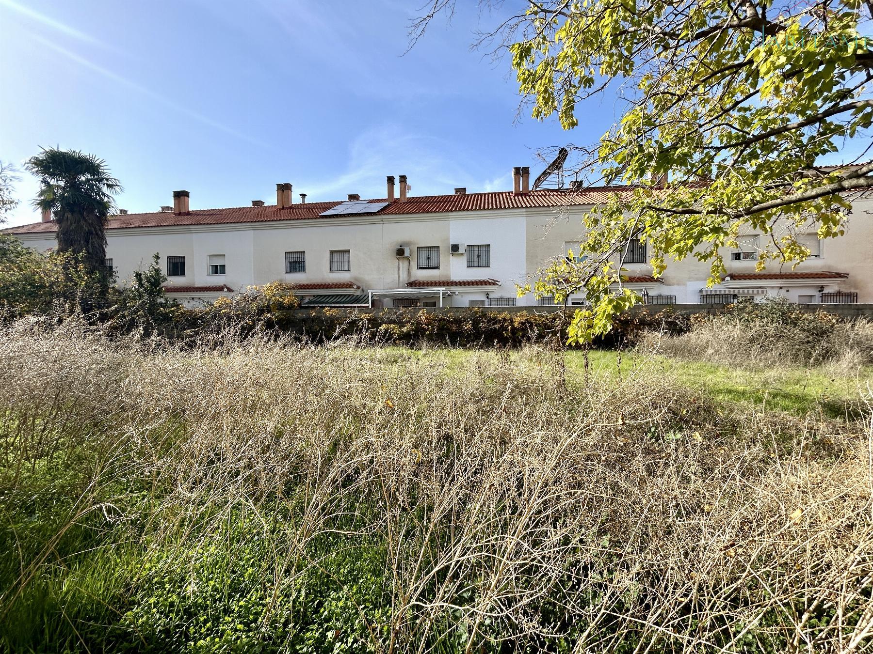 Ground