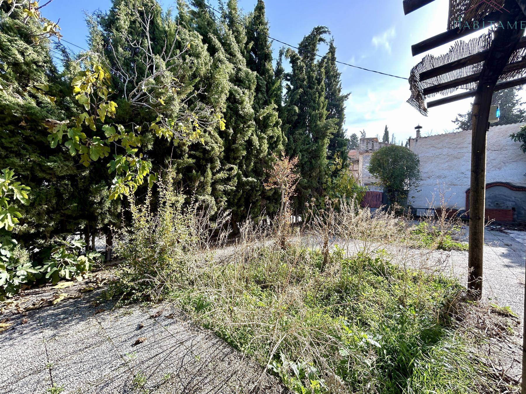 Ground