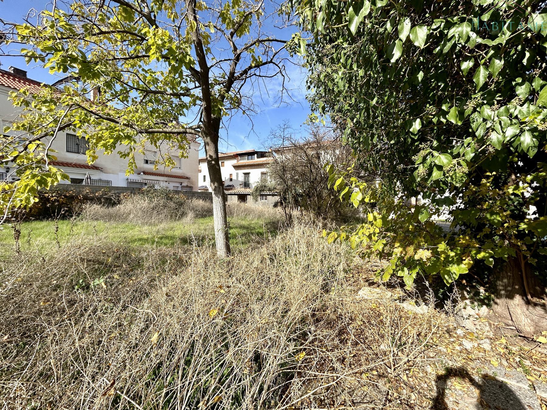 Ground