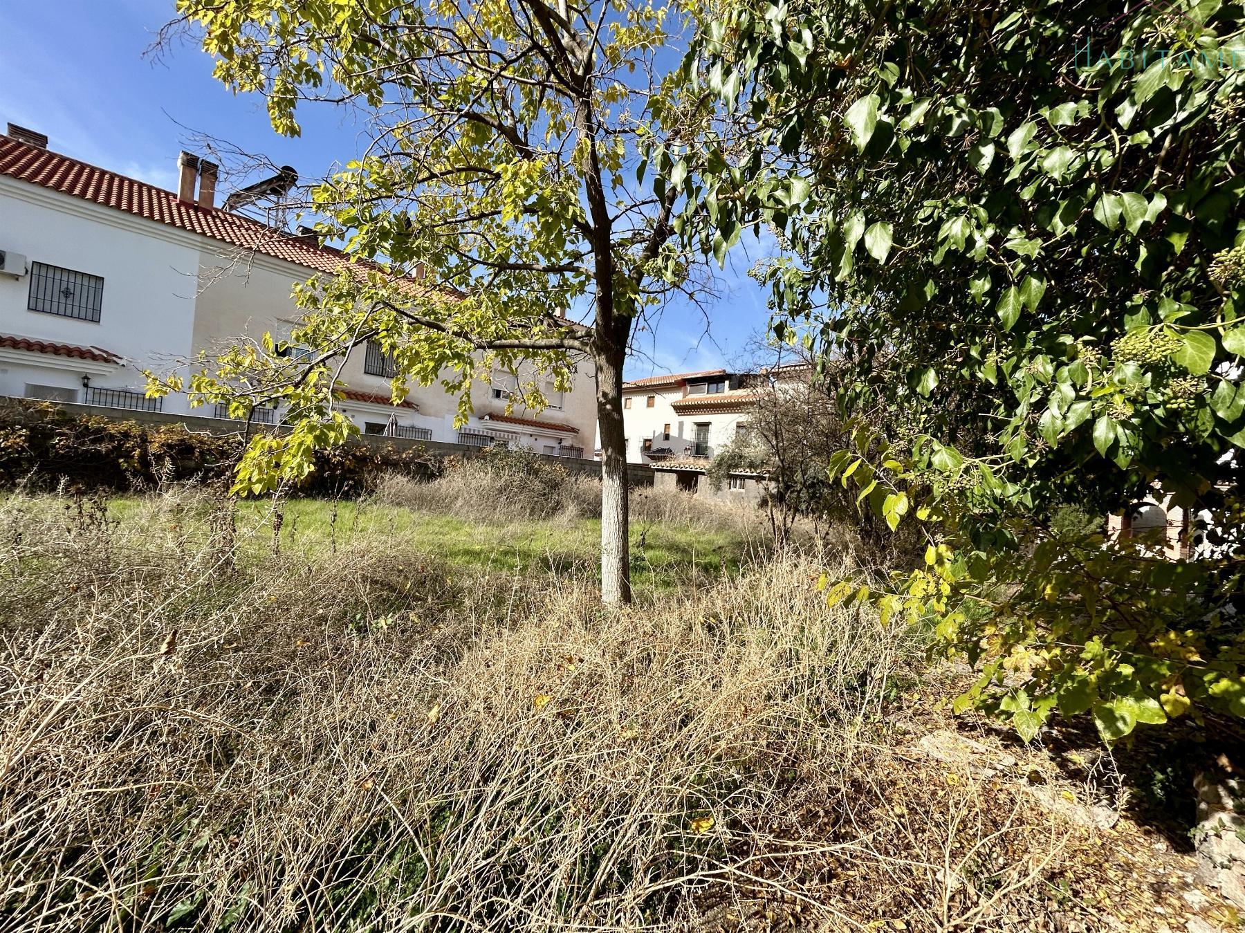 Ground
