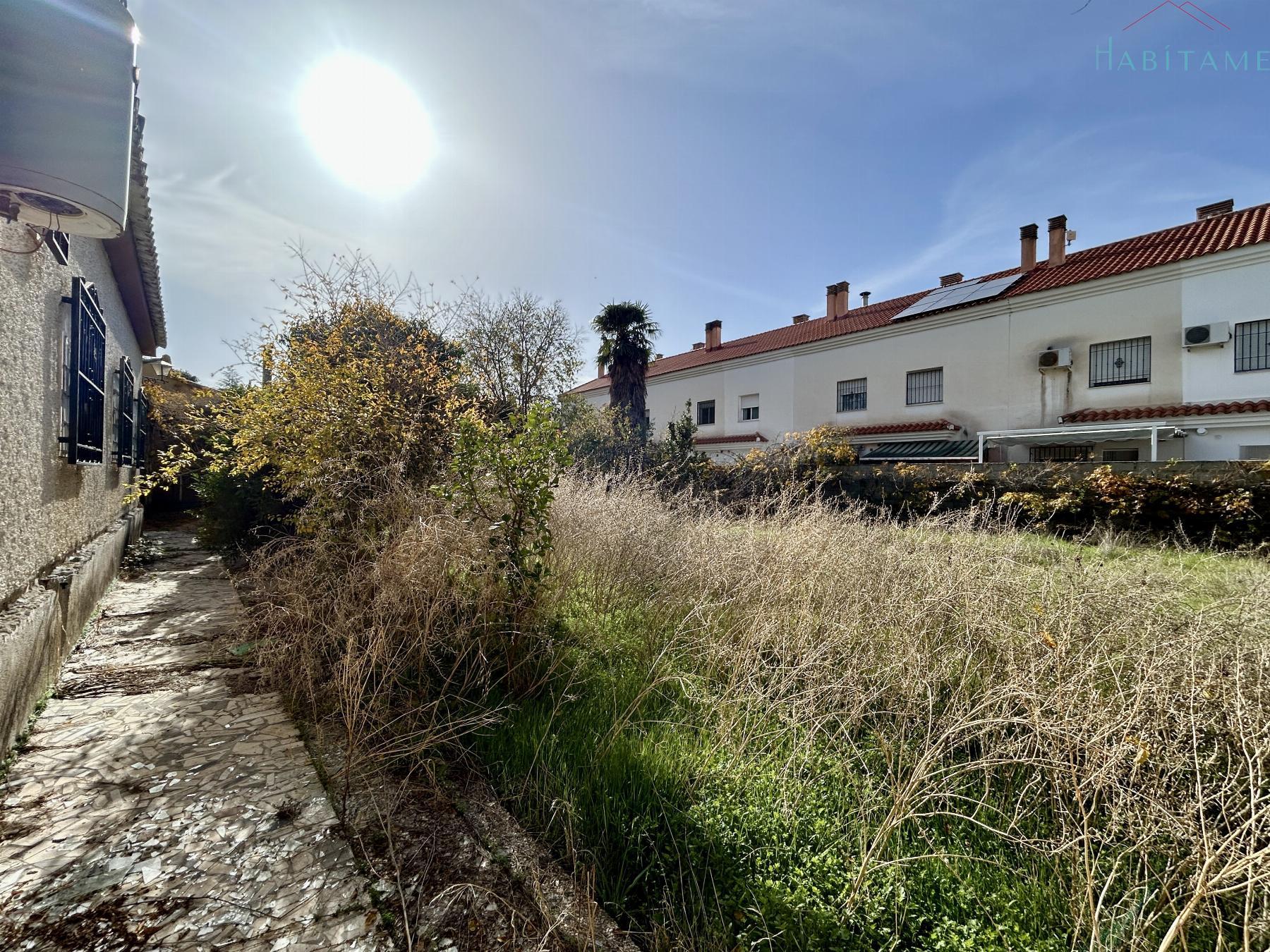 Ground