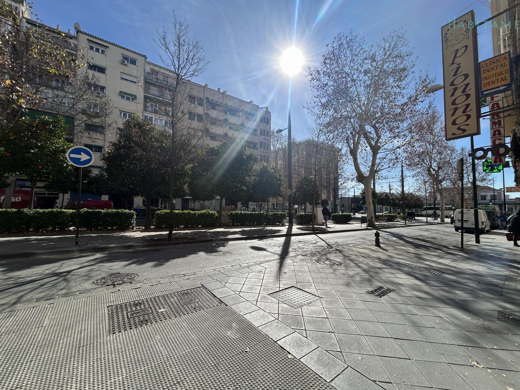 Surroundings