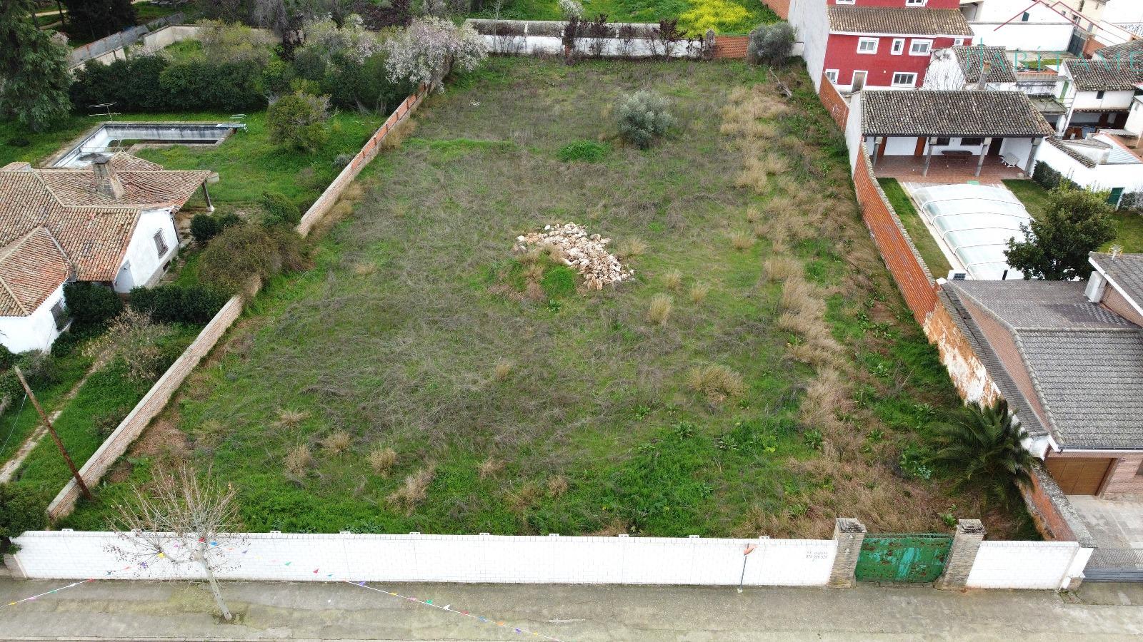 Ground
