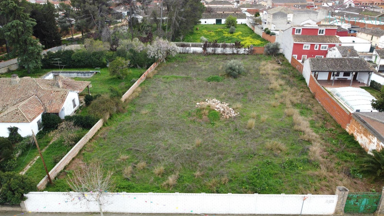 Ground