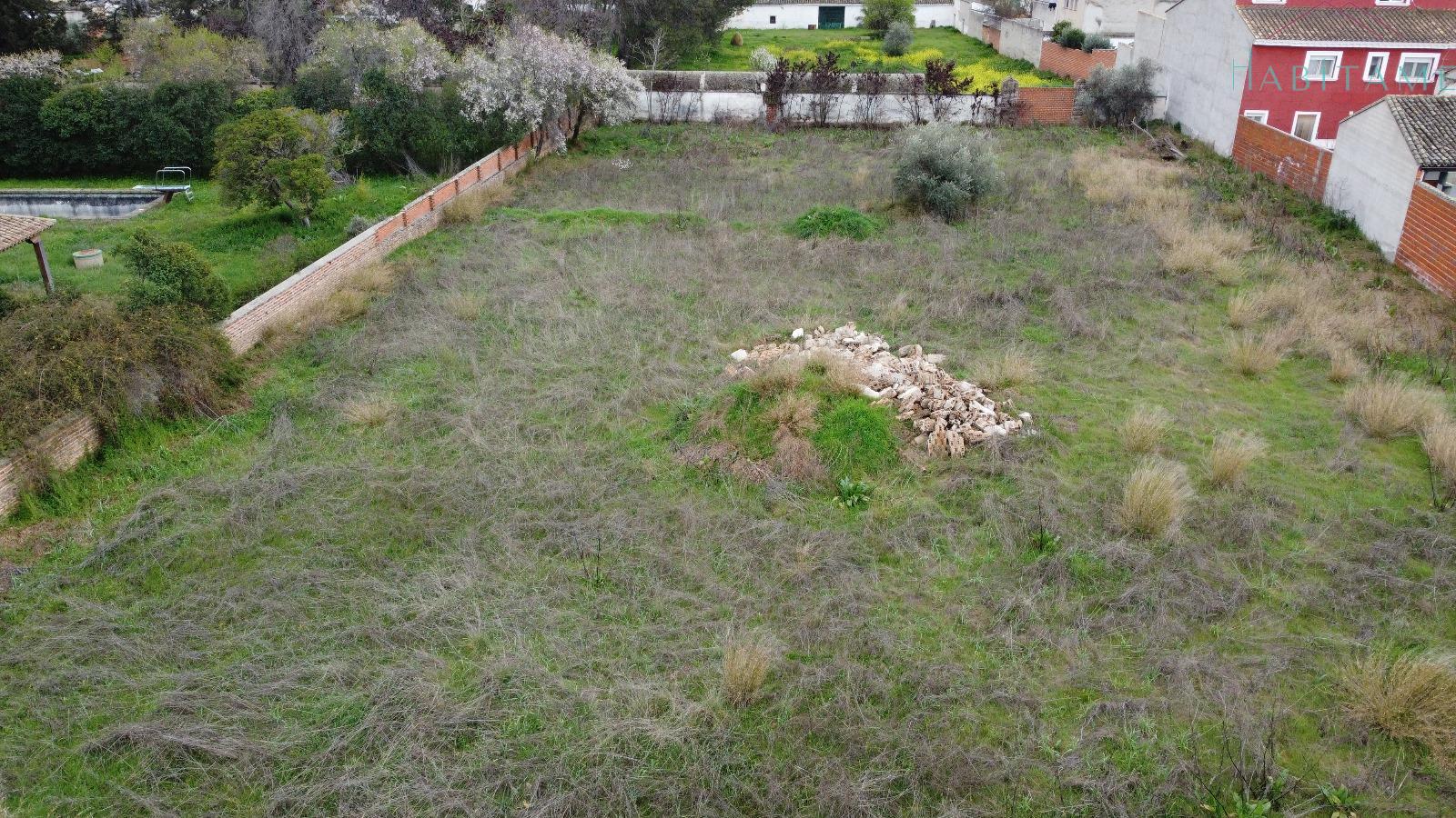 Ground