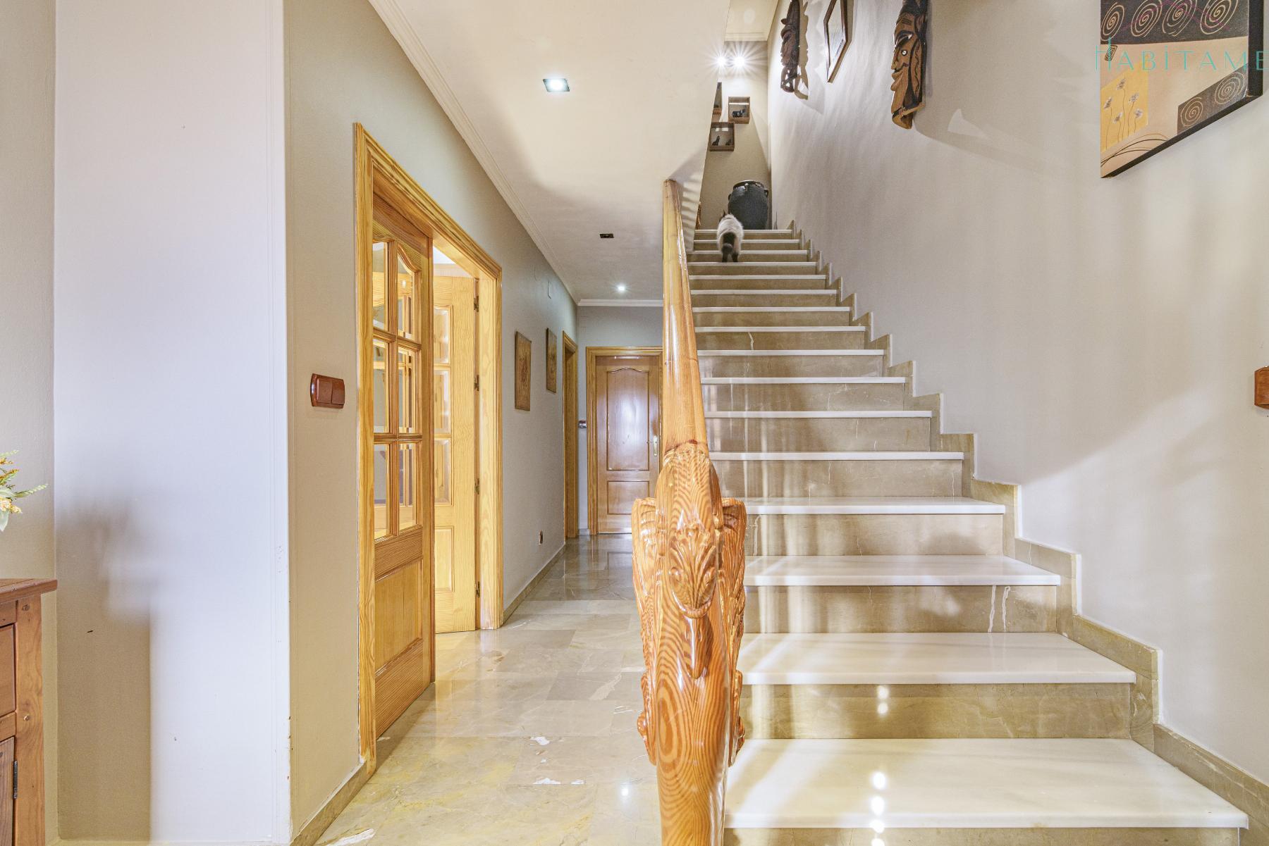 Escalera