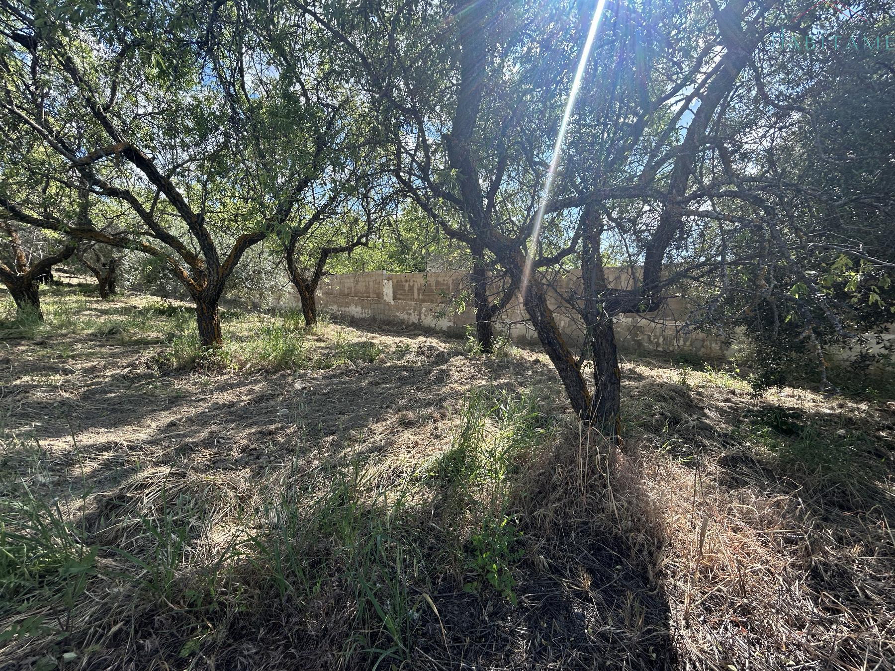 Ground