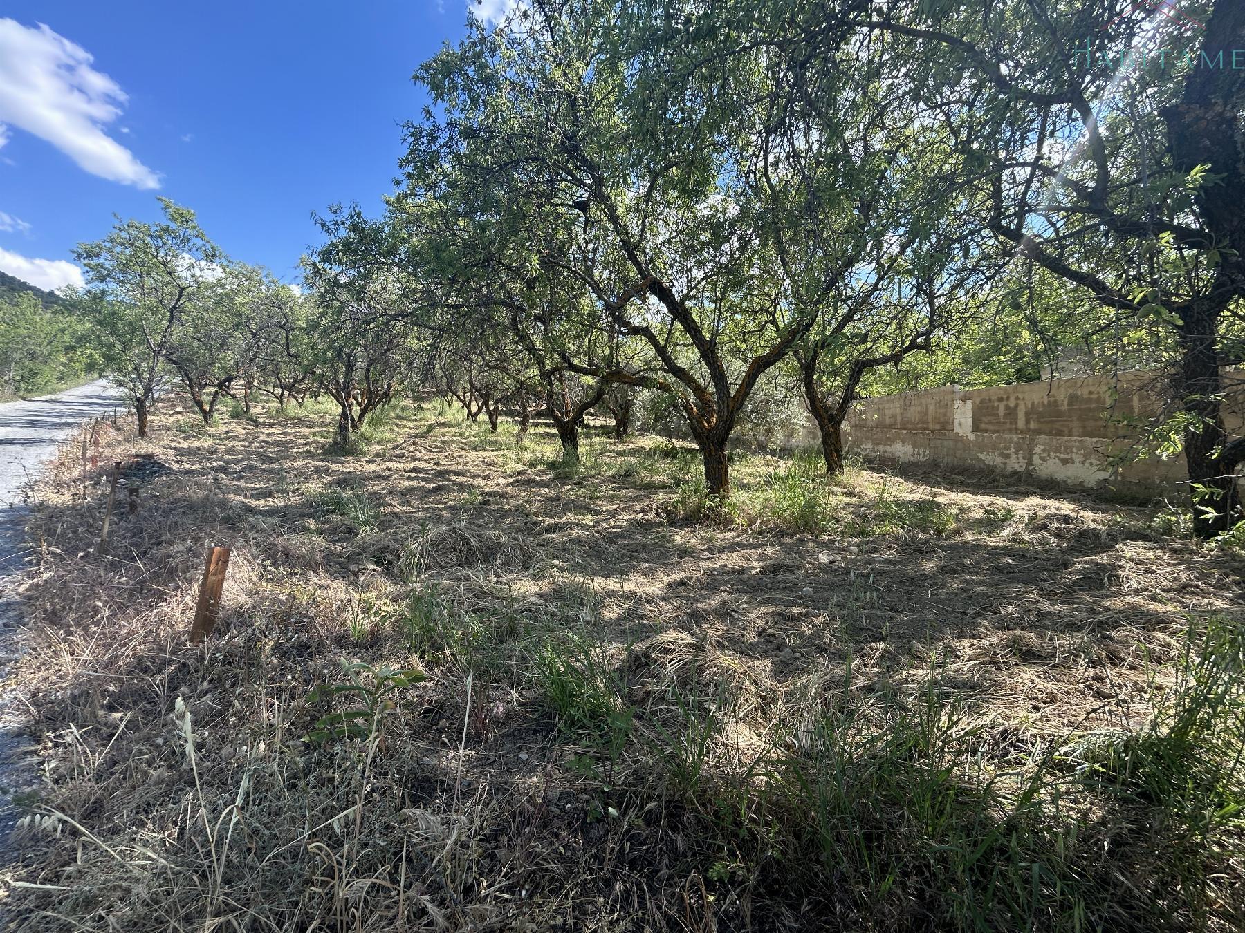 Surroundings