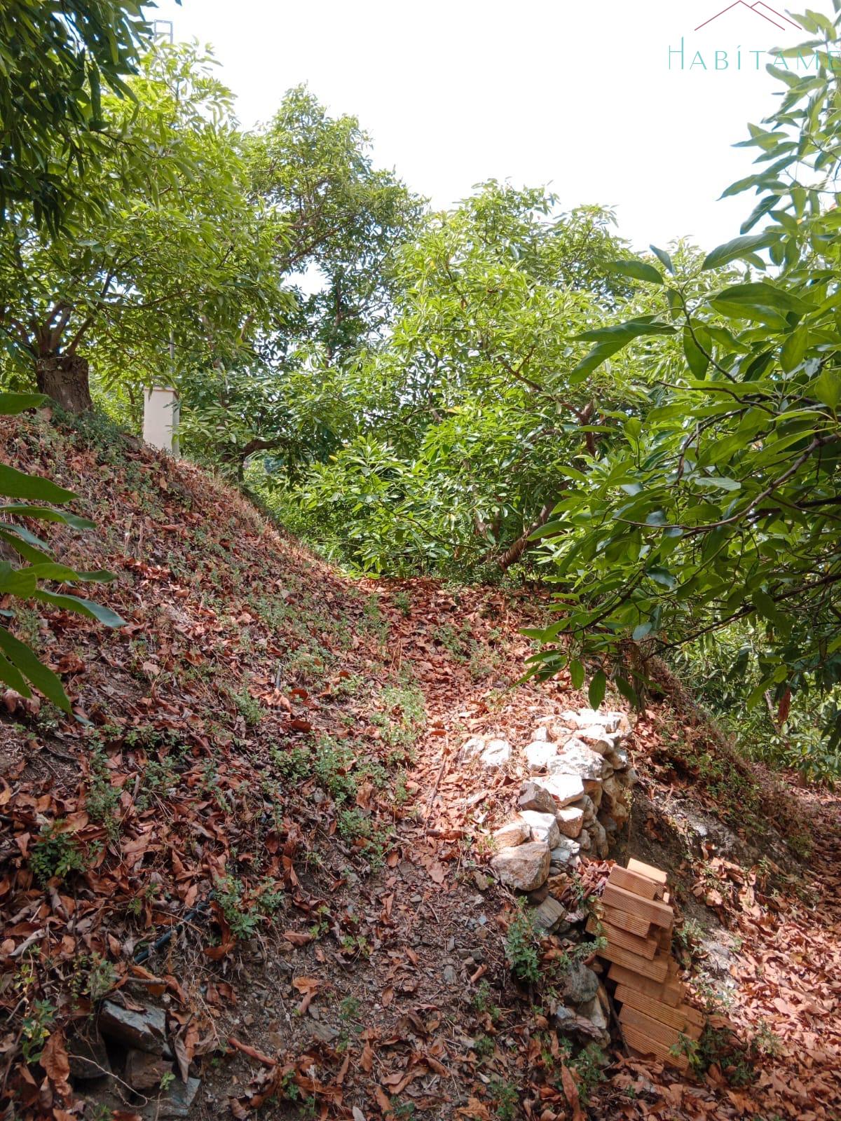 Venta de terreno en Jete