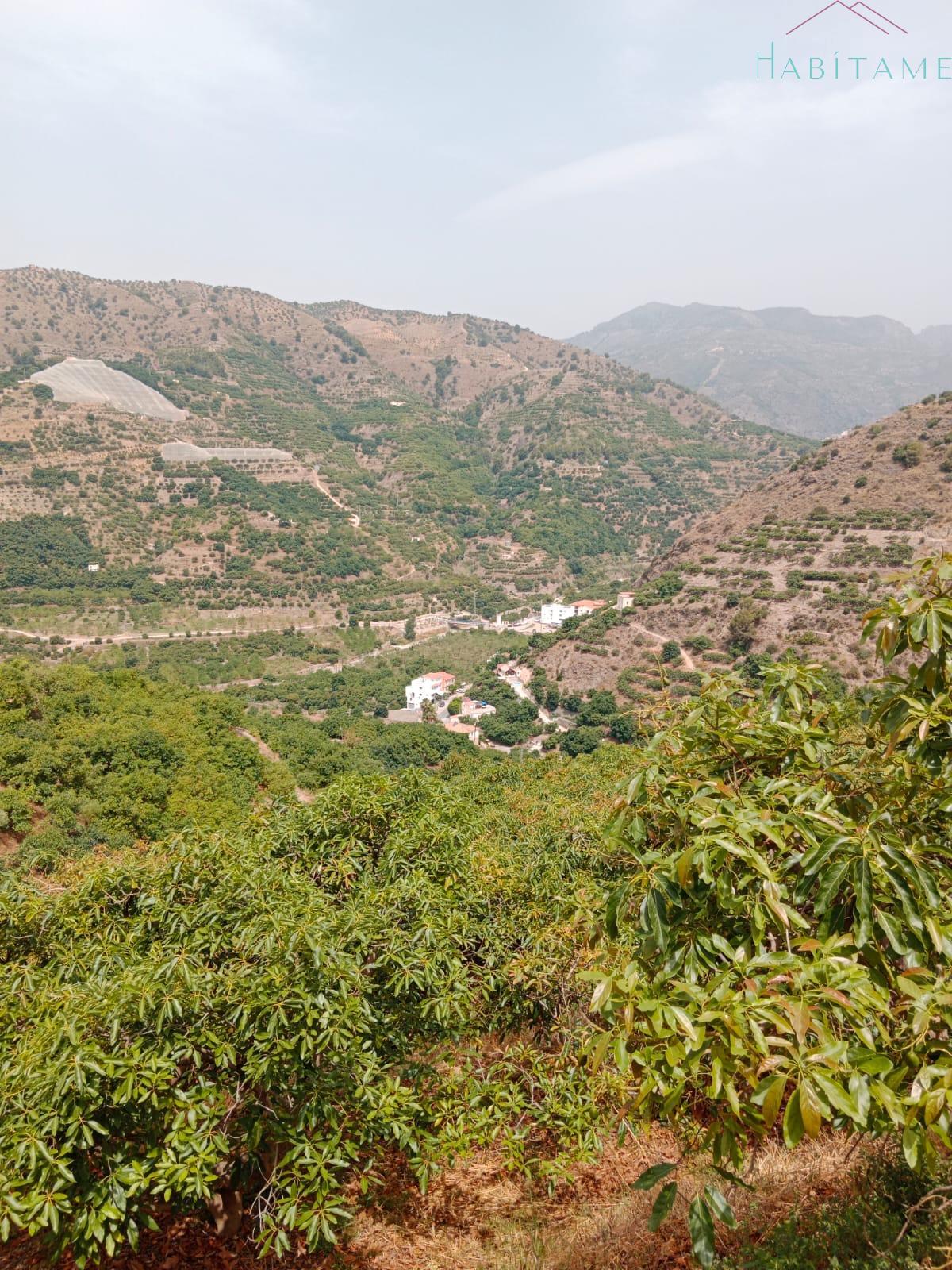 Terreno