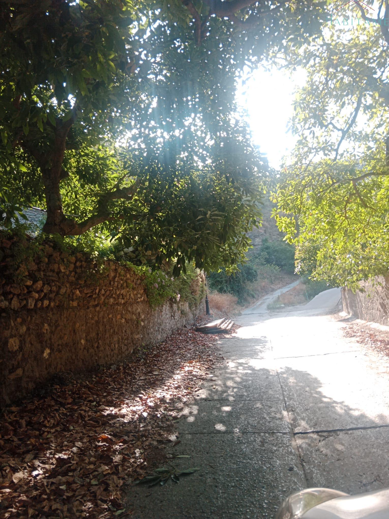 Terreno