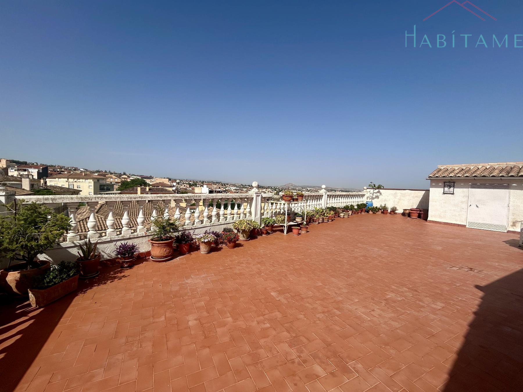 Terraza