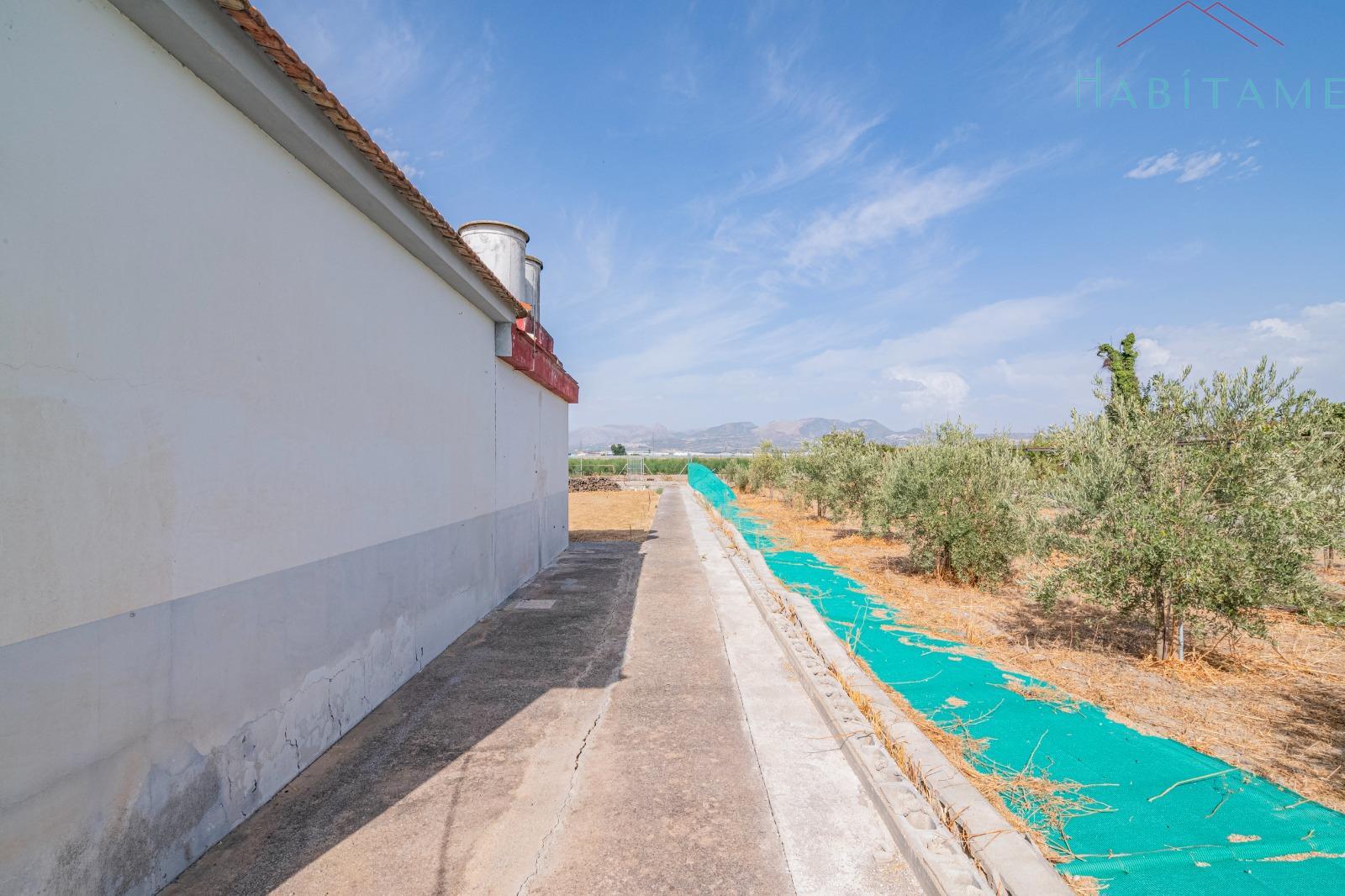 Terreno