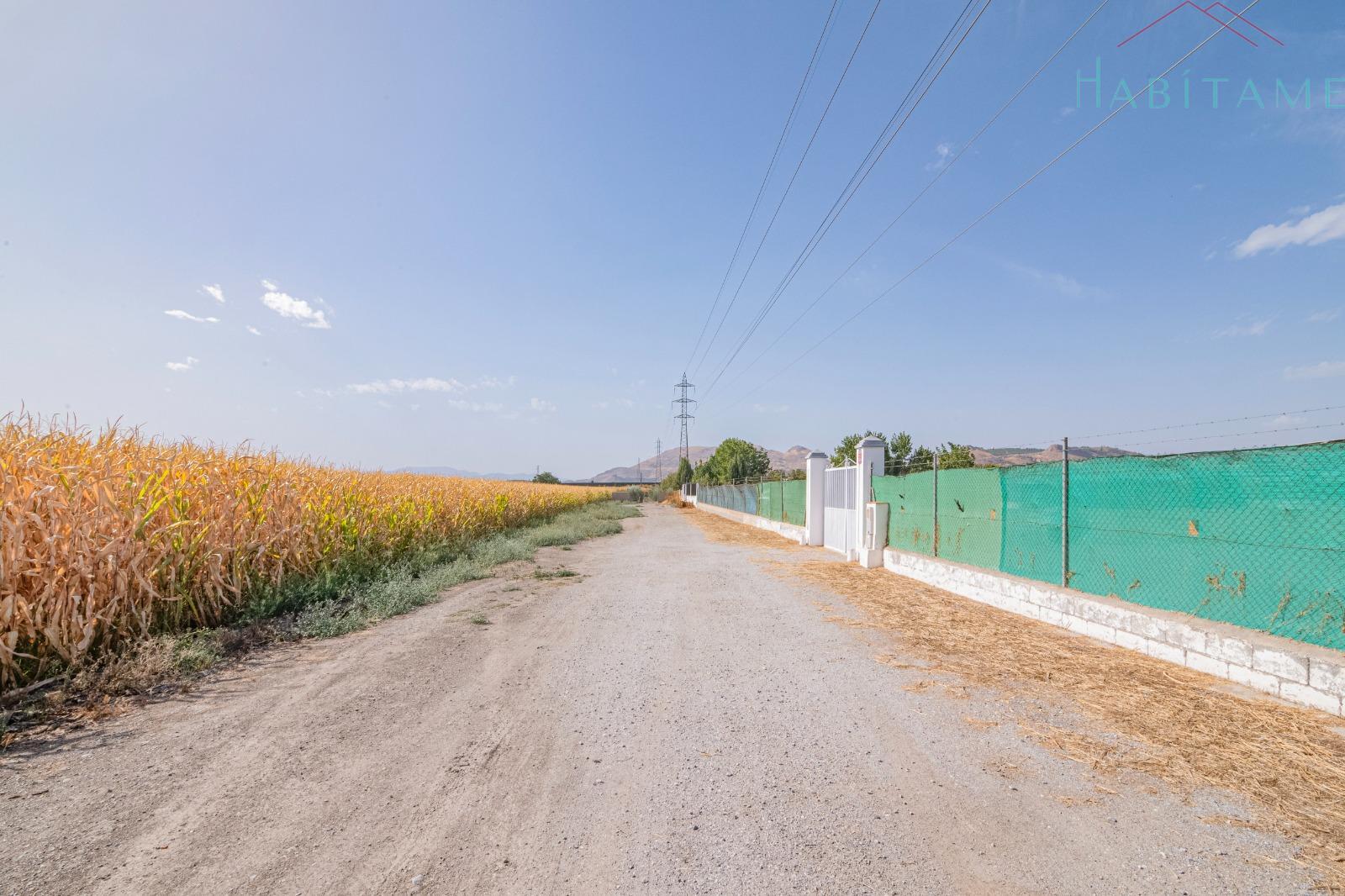 Alrededores