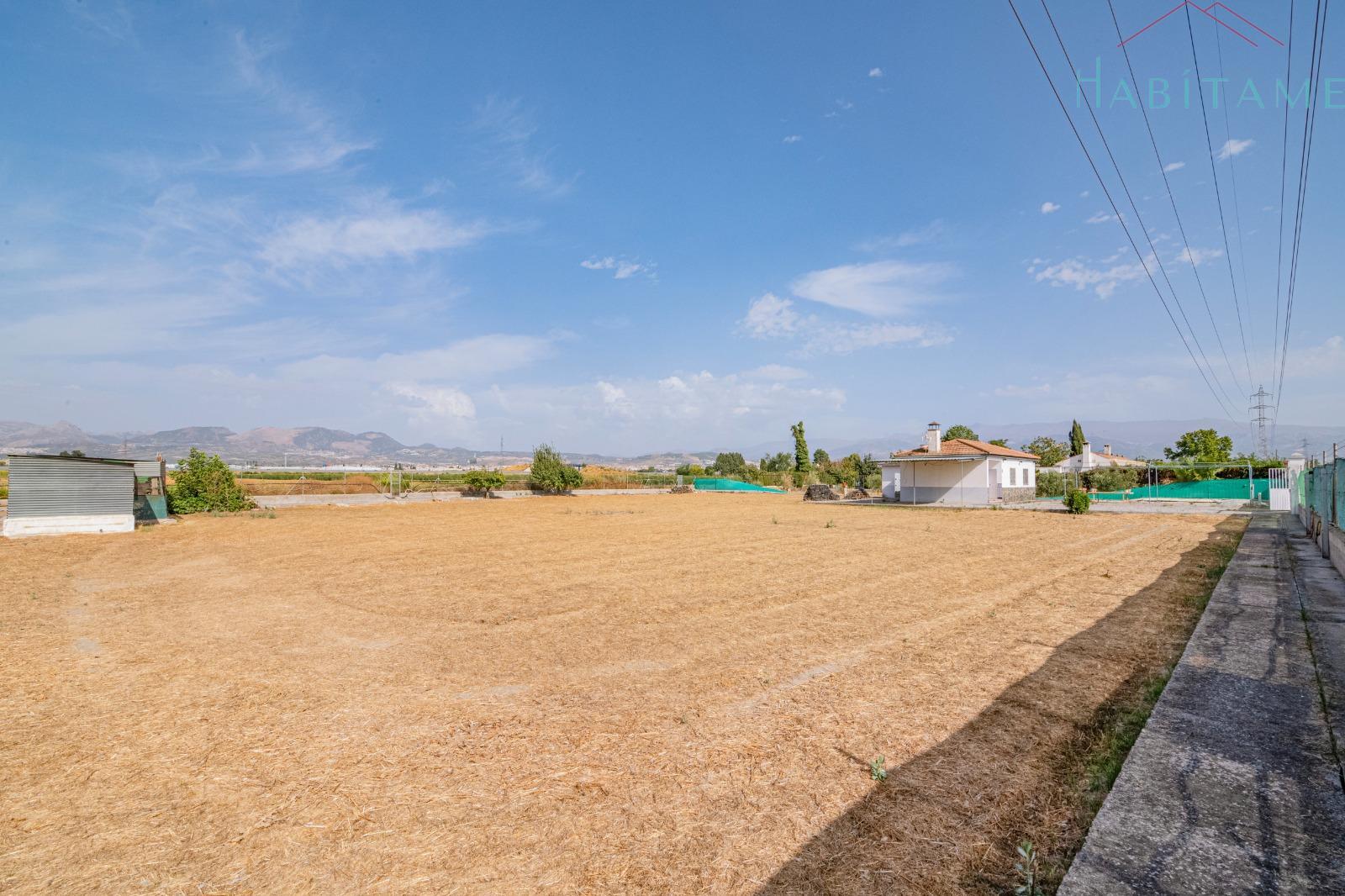 Terreno