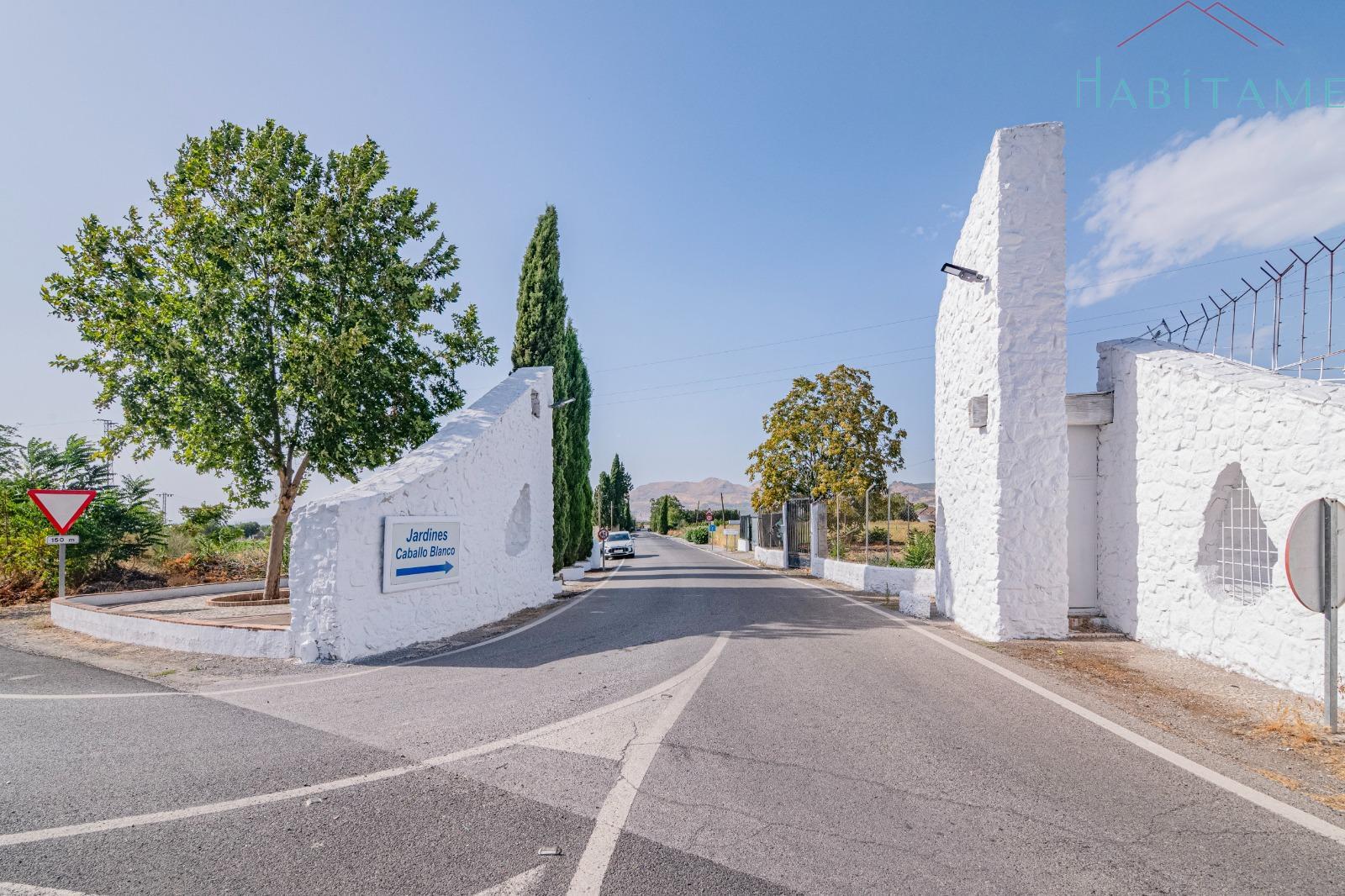 Entrada/Salida