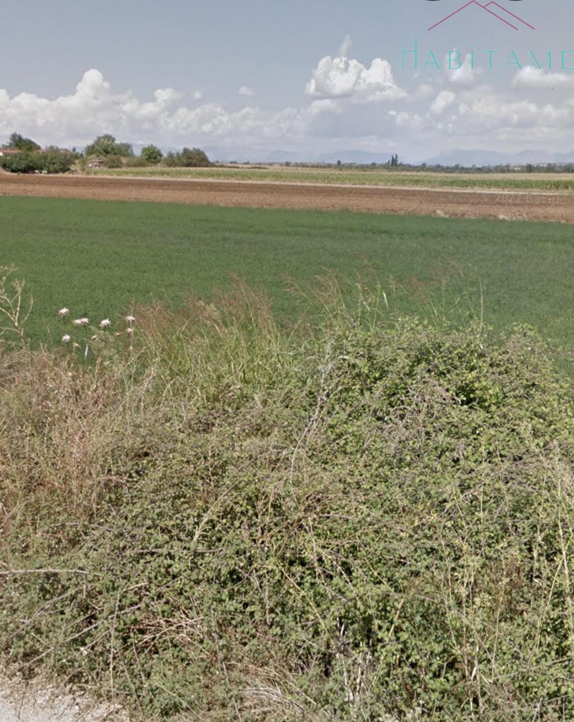 Jardín