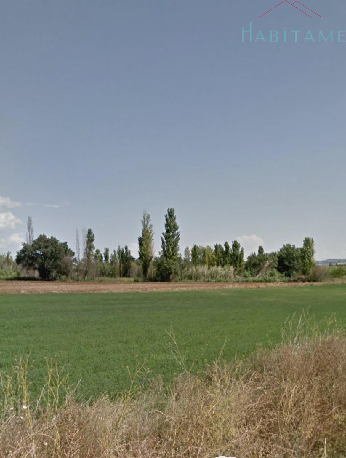 Jardín