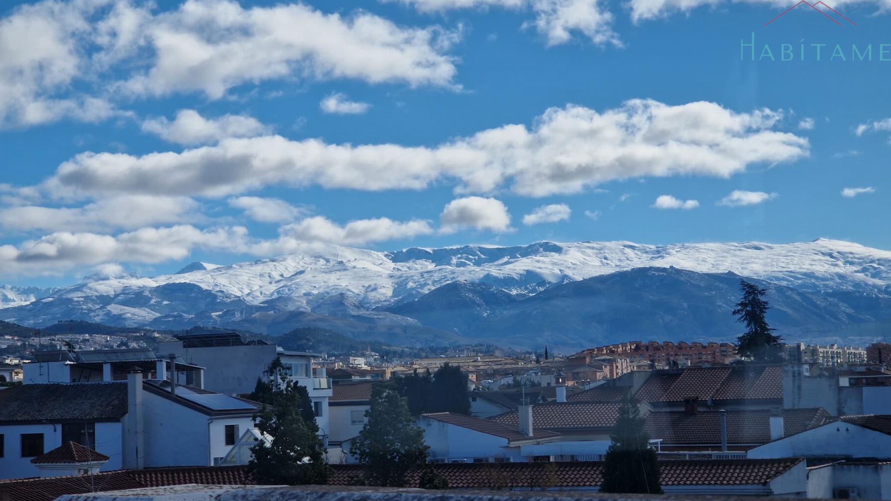 Vistas